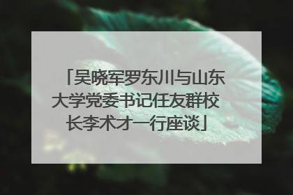 吴晓军罗东川与山东大学党委书记任友群校长李术才一行座谈
