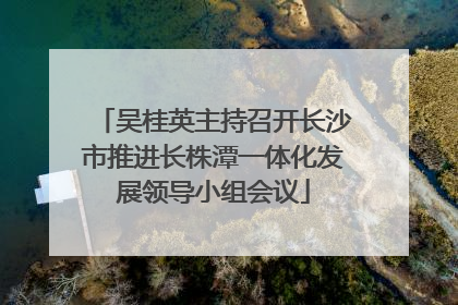 吴桂英主持召开长沙市推进长株潭一体化发展领导小组会议
