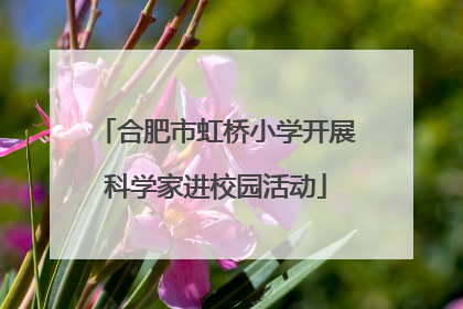 合肥市虹桥小学开展科学家进校园活动