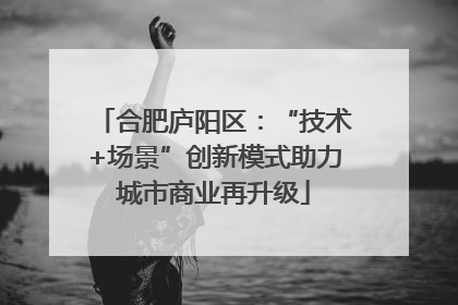 合肥庐阳区：“技术+场景”创新模式助力城市商业再升级