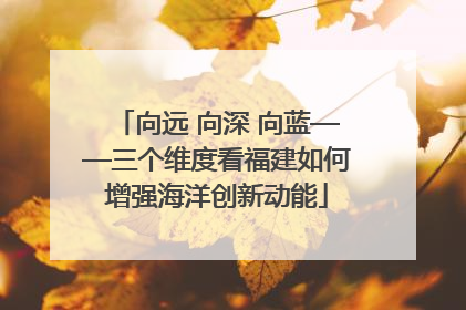 向远 向深 向蓝——三个维度看福建如何增强海洋创新动能