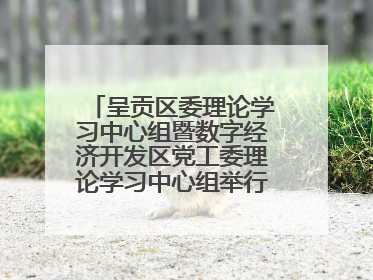 呈贡区委理论学习中心组暨数字经济开发区党工委理论学习中心组举行2025年第七次学习会议