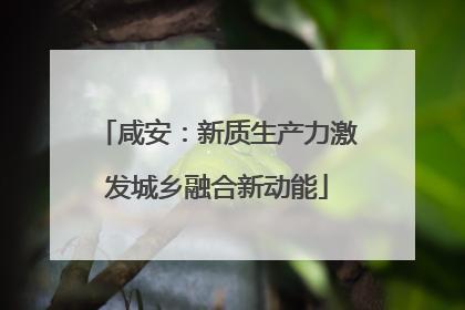 咸安：新质生产力激发城乡融合新动能