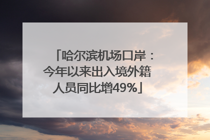 哈尔滨机场口岸：今年以来出入境外籍人员同比增49%
