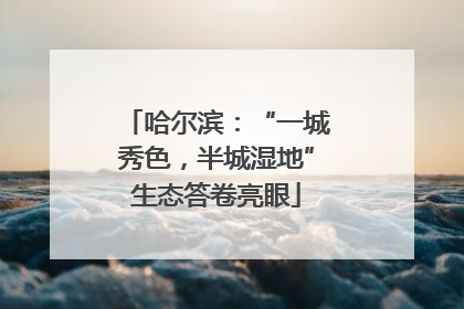 哈尔滨：“一城秀色，半城湿地”生态答卷亮眼