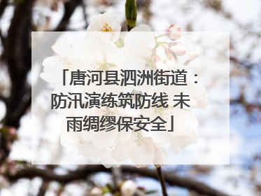 唐河县泗洲街道：防汛演练筑防线 未雨绸缪保安全