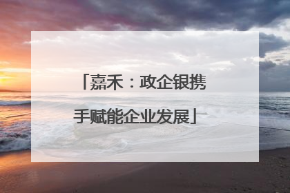 嘉禾：政企银携手赋能企业发展