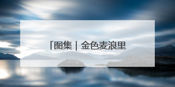 图集｜金色麦浪里的丰收交响曲——豫东三夏抢收纪实