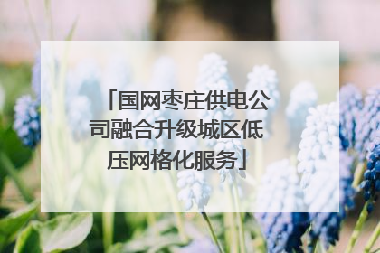 国网枣庄供电公司融合升级城区低压网格化服务