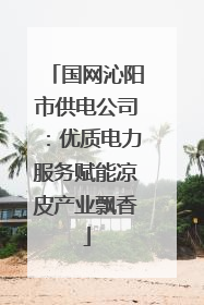 国网沁阳市供电公司：优质电力服务赋能凉皮产业飘香