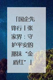 国企先锋行丨张家界：守护平安的那抹“金盾红”