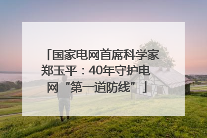 国家电网首席科学家郑玉平：40年守护电网“第一道防线”