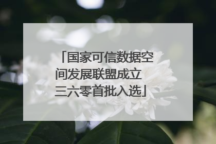国家可信数据空间发展联盟成立 三六零首批入选