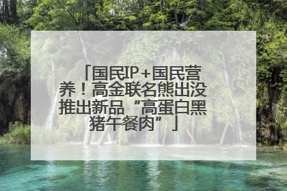 国民IP+国民营养！高金联名熊出没推出新品“高蛋白黑猪午餐肉”