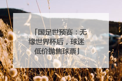 国足世预赛：无缘世界杯后，球迷低价抛售球票