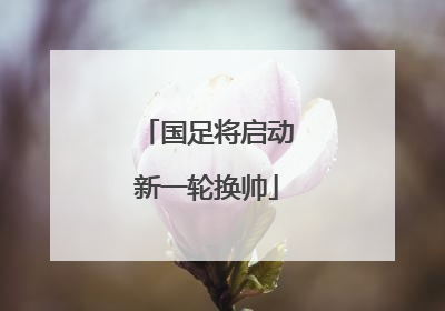 国足将启动新一轮换帅