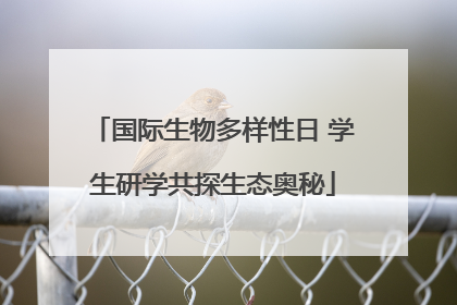 国际生物多样性日 学生研学共探生态奥秘