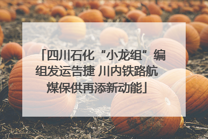 四川石化“小龙组”编组发运告捷 川内铁路航煤保供再添新动能