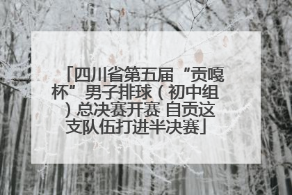四川省第五届“贡嘎杯”男子排球（初中组）总决赛开赛 自贡这支队伍打进半决赛