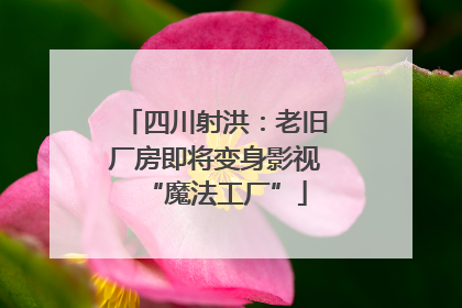 四川射洪：老旧厂房即将变身影视“魔法工厂”