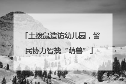 土拨鼠造访幼儿园，警民协力智擒“萌兽”