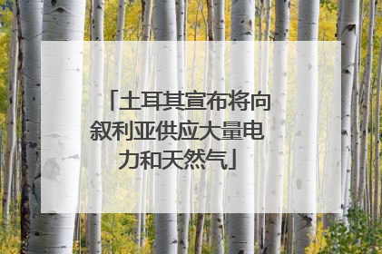 土耳其宣布将向叙利亚供应大量电力和天然气