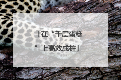 在“千层蛋糕”上高效成桩