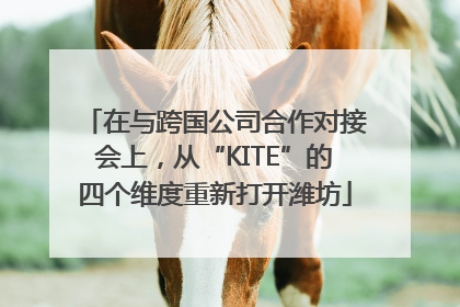在与跨国公司合作对接会上，从“KITE”的四个维度重新打开潍坊