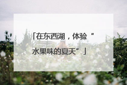 在东西湖，体验“水果味的夏天”