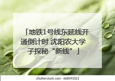 地铁1号线东延线开通倒计时 沈阳农大学子探秘“新线”