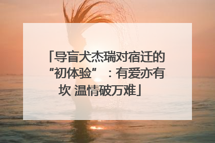 导盲犬杰瑞对宿迁的“初体验”：有爱亦有坎 温情破万难