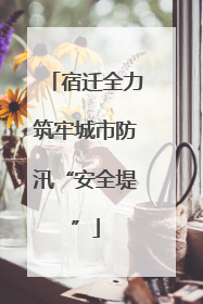 宿迁全力筑牢城市防汛“安全堤”
