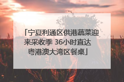 宁夏利通区供港蔬菜迎来采收季 36小时直达粤港澳大湾区餐桌
