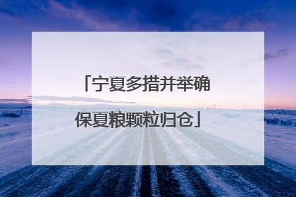 宁夏多措并举确保夏粮颗粒归仓