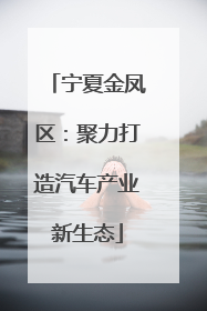 宁夏金凤区：聚力打造汽车产业新生态