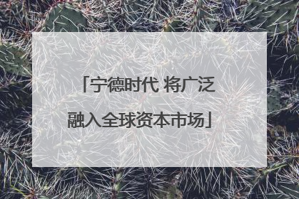 宁德时代 将广泛融入全球资本市场