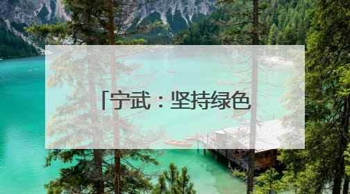 宁武：坚持绿色发展 推进生态建设取得显著成效