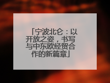 宁波北仑：以开放之姿，书写与中东欧经贸合作的新篇章