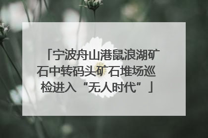 宁波舟山港鼠浪湖矿石中转码头矿石堆场巡检进入“无人时代”