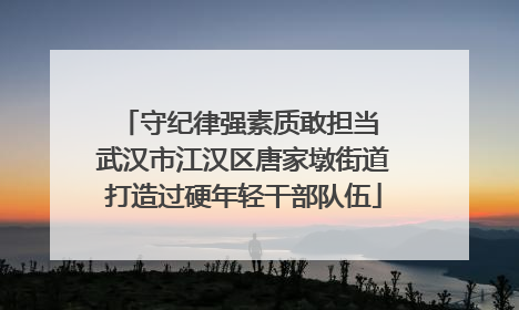 守纪律强素质敢担当 武汉市江汉区唐家墩街道打造过硬年轻干部队伍