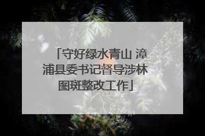 守好绿水青山 漳浦县委书记督导涉林图斑整改工作