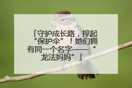 守护成长路，撑起“保护伞”！她们拥有同一个名字——“龙法妈妈”