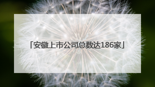 安徽上市公司总数达186家