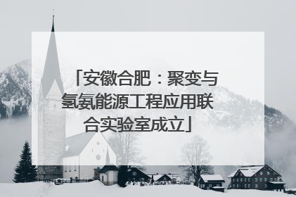 安徽合肥：聚变与氢氨能源工程应用联合实验室成立