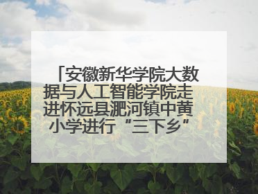 安徽新华学院大数据与人工智能学院走进怀远县淝河镇中黄小学进行“三下乡”支教活动