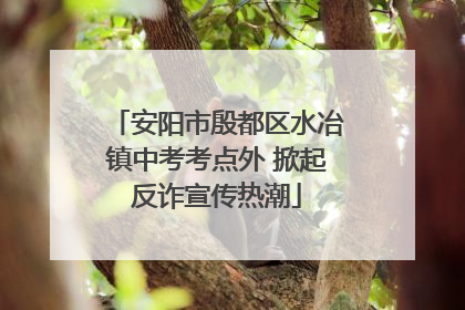 安阳市殷都区水冶镇中考考点外 掀起反诈宣传热潮