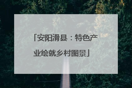 安阳滑县：特色产业绘就乡村图景
