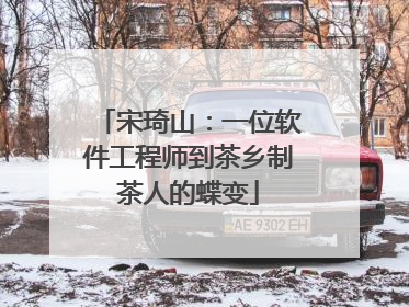 宋琦山：一位软件工程师到茶乡制茶人的蝶变