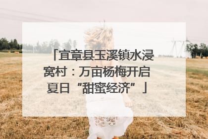 宜章县玉溪镇水浸窝村：万亩杨梅开启夏日“甜蜜经济”