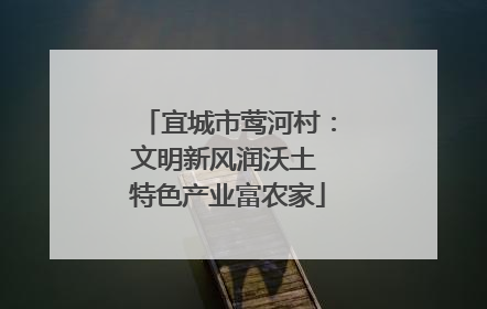 宜城市莺河村：文明新风润沃土 特色产业富农家